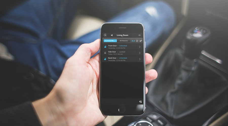 hand holding a phone