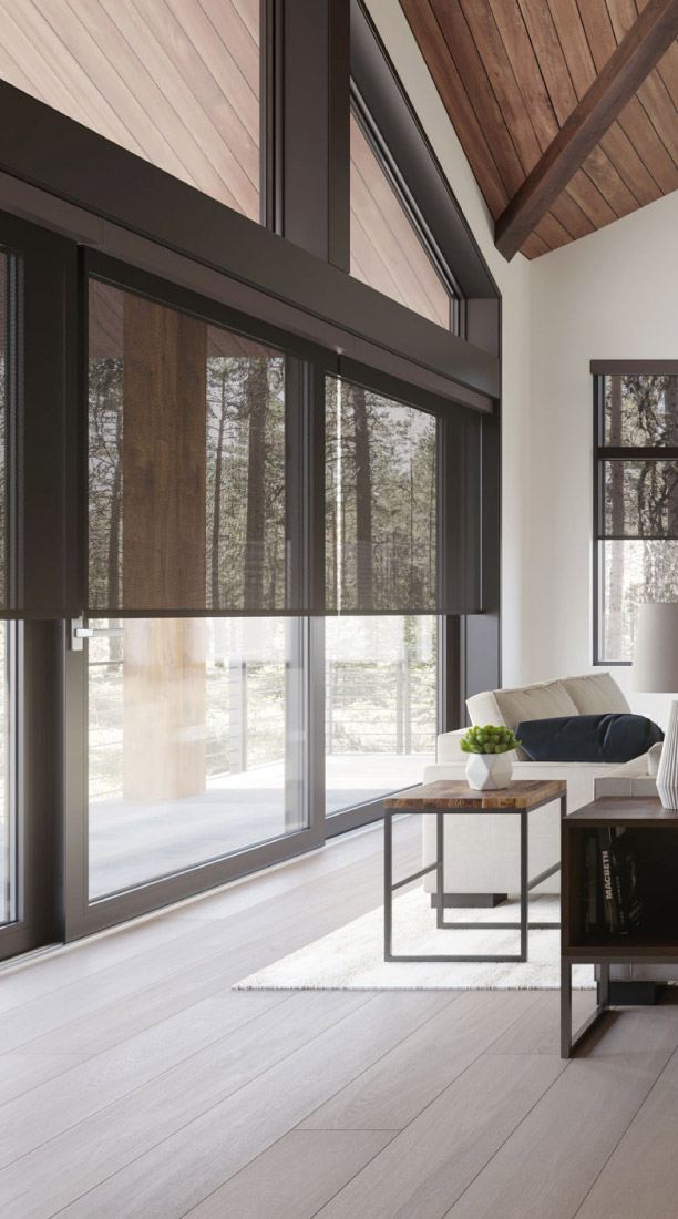 Home Theater Design, Camano Island WA, smart home automation, Home Theater, Fusion 9 Design, Audio Video