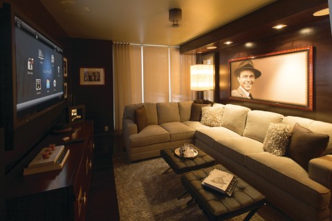 a media room with shading, TV, and couches